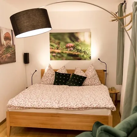 Charming 45m2 In Heart Of Štýrský Hradec